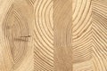 Cross-section of glued wooden timber of pine. Royalty Free Stock Photo