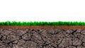 Cross section of grass and dry cracked soil Royalty Free Stock Photo