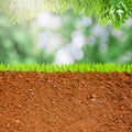 Cross section of grass and soil Royalty Free Stock Photo