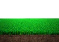 Cross section of grass and soil, 3D illustration Royalty Free Stock Photo