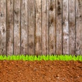 Cross section of grass and soil against wood wall Royalty Free Stock Photo