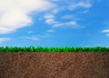 Cross section of grass and soil Royalty Free Stock Photo