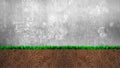 Cross section of grass and soil, on gray concrete wall background Royalty Free Stock Photo