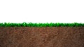 Cross section of grass and soil Royalty Free Stock Photo