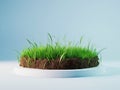 Cross-section of Grass and Soil Royalty Free Stock Photo