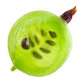 Cross-section of green gooseberry fruit, macro Royalty Free Stock Photo