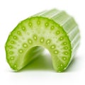 A cross-section of a green, ribbed cylindrical object resembling a plan Royalty Free Stock Photo