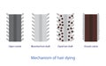 Cross section of hair dye science vector on white background.