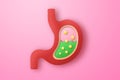 Cross section of human stomach on pink background. Royalty Free Stock Photo