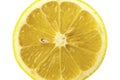Cross-section of lemon Royalty Free Stock Photo