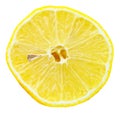 Cross section of lemon isolated on white Royalty Free Stock Photo