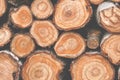 Cross section of many tree trunks. Matte colors Royalty Free Stock Photo