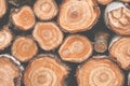 Cross section of many tree trunks. Matte colors