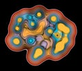 Cross Section Of A Multicellular Organism With Cell Division Cycle Royalty Free Stock Photo