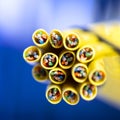 Cross-section of the network cable. Technological background. Wire. Macro photo