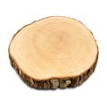 Cross section of oak tree, isolated. Wood textures. Tree trunk close-up. Royalty Free Stock Photo