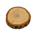 Cross section of oak tree, top view. Wood textures. Tree trunk close-up. Royalty Free Stock Photo