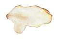 Cross-section of raw tuber of jerusalem artichoke Royalty Free Stock Photo