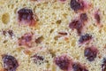 A cross-section of rye bread slice with cranberry raisin