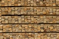 Cross section of sawn timber Royalty Free Stock Photo