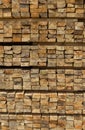 Cross section of sawn timber Royalty Free Stock Photo