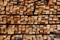 Cross section of sawn timber,Selection of freshly sawn timber material