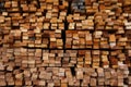 Cross section of sawn timber,Selection of freshly sawn timber material