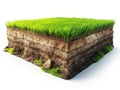 Cross-section of Soil Layers with Grass Royalty Free Stock Photo