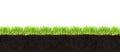 Cross-section of soil and grass Royalty Free Stock Photo