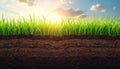 Cross section of soil with green grass. Layers of earth show structure and composition. Sky background with sun. Concept of Royalty Free Stock Photo