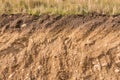 Cross section of soil layers with grass on top