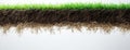 A cross-section of soil layers reveals a panorama where roots delve into different soil types. The visible layers Royalty Free Stock Photo