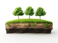 Cross-section of Soil with Trees and Grass Royalty Free Stock Photo