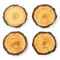 Cross Section Tree Set Wooden Stump Vector. Circles Texture Isolated. Tree Round Cut With Annual Rings Royalty Free Stock Photo