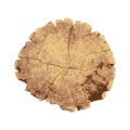 Cross section of tree, tree ring, wood,