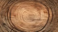 Cross-section of a tree trunk displaying concentric growth rings a visual representation of time and natural history Royalty Free Stock Photo