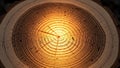 Of a tree trunk displaying its growth rings with a warm glowing Royalty Free Stock Photo