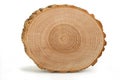 Cross section of tree trunk showing growth rings Royalty Free Stock Photo