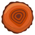 Cross section of tree trunk showing rings for age. Detailed wooden texture with annual growth rings