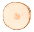 Cross section of tree trunk on white background Royalty Free Stock Photo