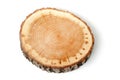 Cross section of tree trunk on white background Royalty Free Stock Photo