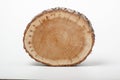 Cross section of tree trunk on white background Royalty Free Stock Photo