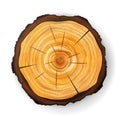 Cross Section Tree Wooden Stump Vector. Round Cut With Annual Rings Royalty Free Stock Photo