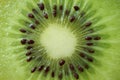 Cross Section of Vibrant Green Fresh and Juicy Ripe Kiwi Fruit, Macro Shot for Fruit Texture Royalty Free Stock Photo