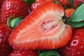 Cross Section of Vibrant Red Fresh and Juicy Ripe Strawberry Royalty Free Stock Photo