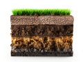 Cross-Section of Soil Layers with Grass Royalty Free Stock Photo