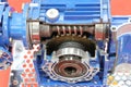 cross section of worm gear pump ; Royalty Free Stock Photo