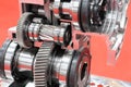 cross section of worm gear pump ; Royalty Free Stock Photo