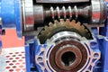 cross section of worm gear pump Royalty Free Stock Photo