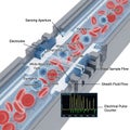 Cross-sectional illustration of a blood flow cytometry setup Royalty Free Stock Photo